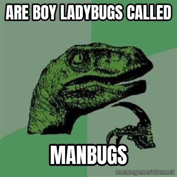 Philosoraptor meme: are boy ladybugs called / manbugs