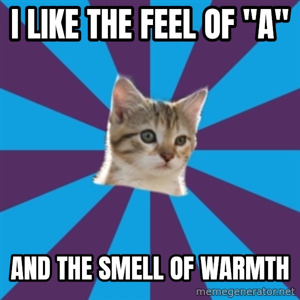 Autistic Kitten meme: I like the feel of "A" / and the smell of warmth