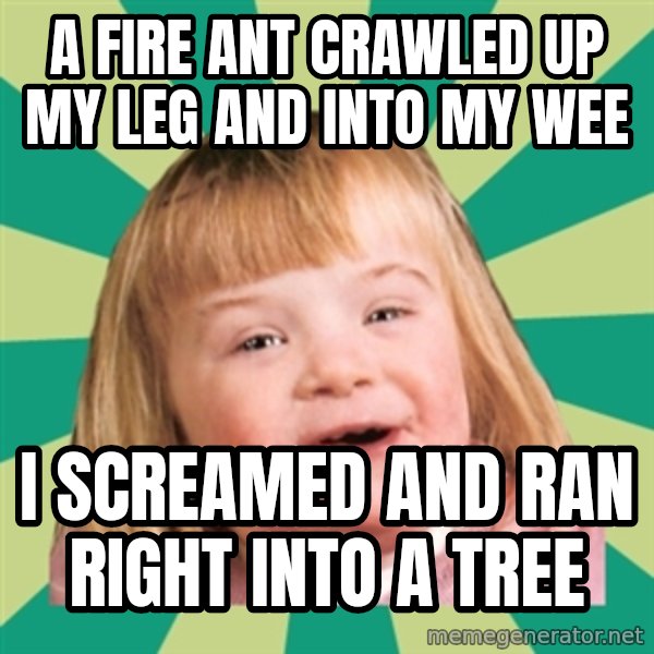 Retard girl meme: A fire ant crawled up my leg and into my wee / I screamed and ran right into a tree