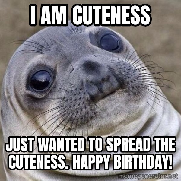 Awkward Seal meme: i am cuteness / just wanted to spread the cuteness. Happy birthday!