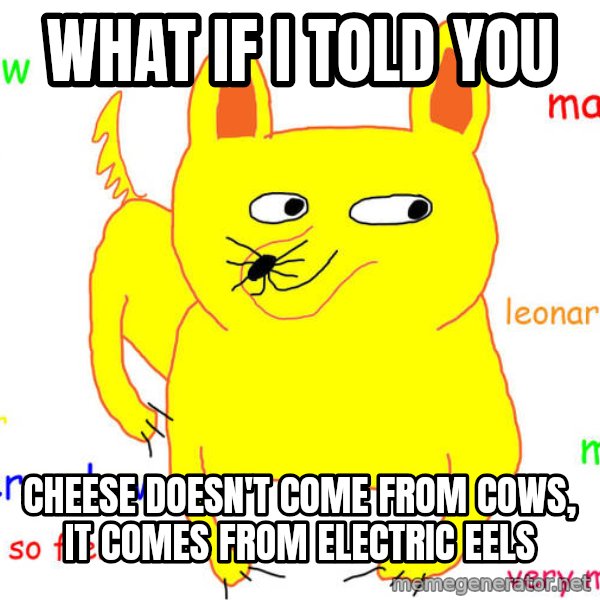 What If I Told You meme: What if I told you / cheese doesn't come from cows, it comes from electric eels