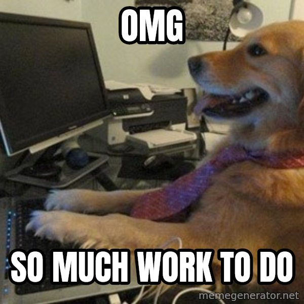 I have no idea what I'm doing - Dog with Tie meme: OMG / so much work to do