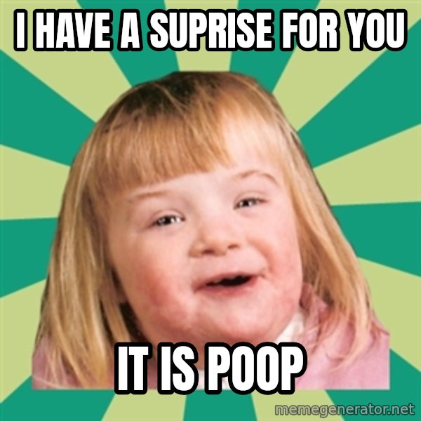 Retard girl meme: i have a suprise for you / it is poop