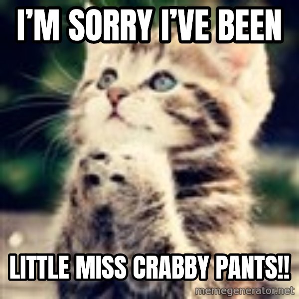 Praying Kitten meme: I’m sorry I’ve been / Little Miss Crabby Pants!!
