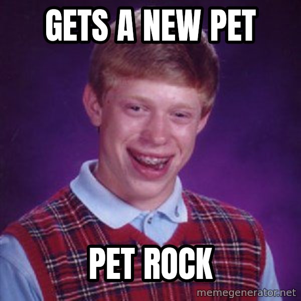 Bad Luck Brian meme: Gets a new pet / Pet rock