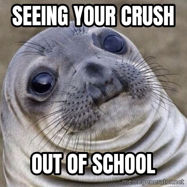 Awkward Seal meme: seeing your crush / out of school