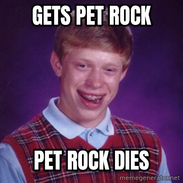 Bad Luck Brian meme: Gets pet rock / pet rock dies