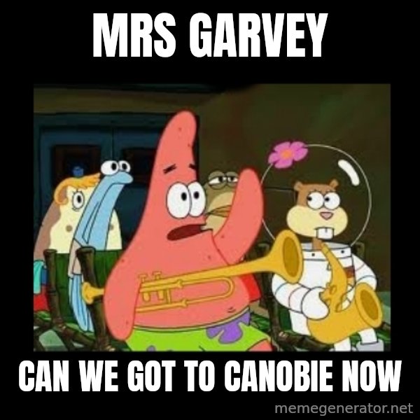 Patrick Star Instrument meme: Mrs Garvey / can we got to canobie now