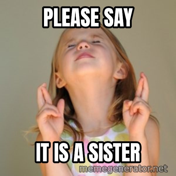Fingers Crossed meme: please say / it is a sister