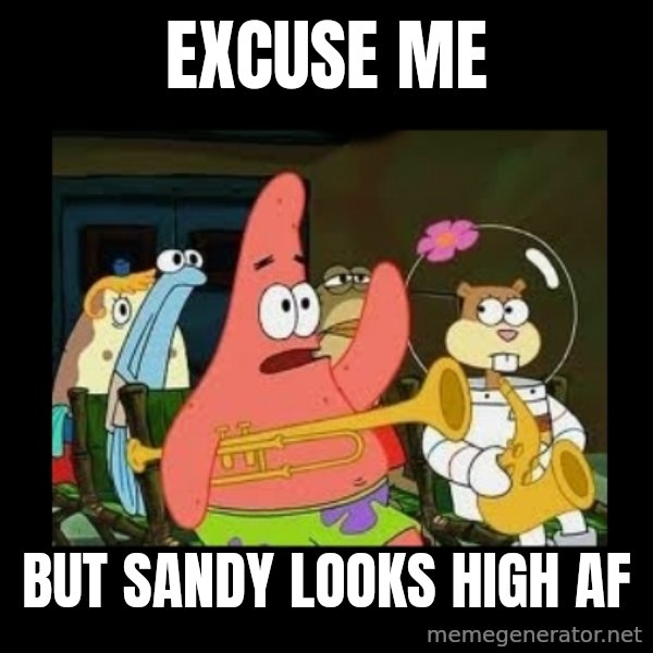 Patrick Star Instrument meme: excuse me / but sandy looks high af
