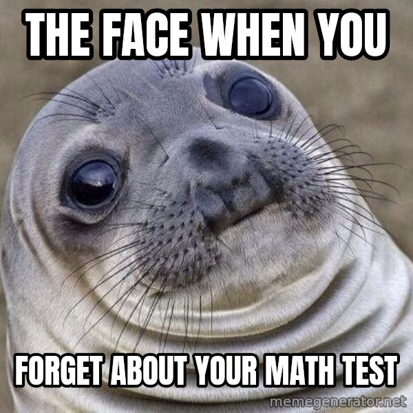 Awkward Seal meme: The face when you / Forget about your math test