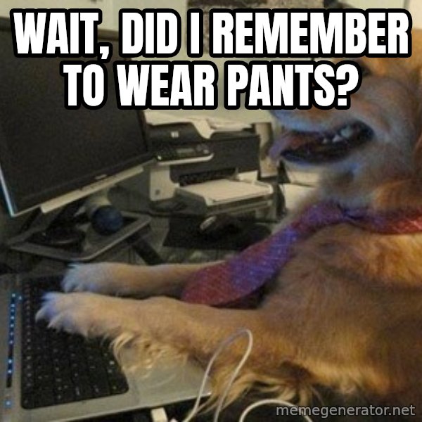 I have no idea what I'm doing - Dog with Tie meme: wait, did I remember to wear pants?