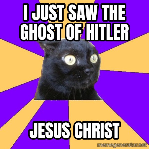 Anxiety Cat meme: I JUST SAW THE GHOST OF HITLER / JESUS CHRIST