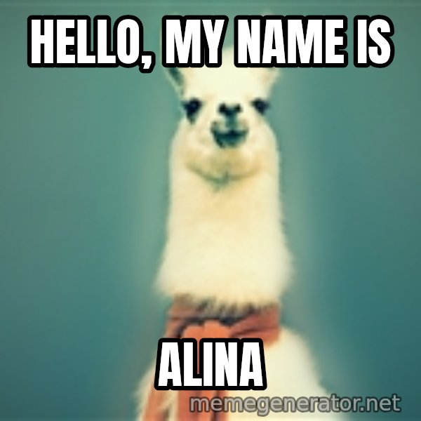Pancakes llama meme: Hello, my name is / Alina
