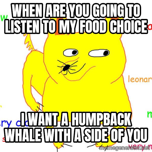 Grumpy Cat  meme: When are you going to listen to my food choice / I want a humpback whale with a side of YOU