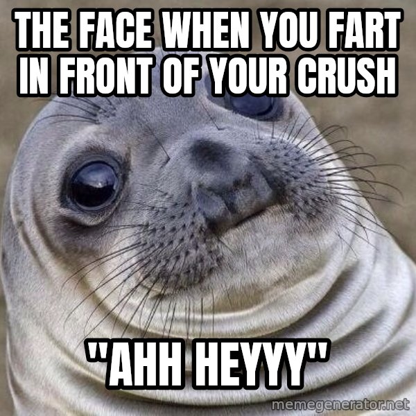Awkward Seal meme: The face when you fart in front of your crush / "ahh heyyy"