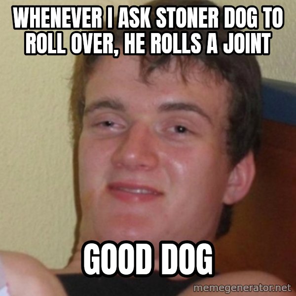 Stoner Stanley meme: Whenever I ask Stoner dog to roll over, he rolls a joint / good dog