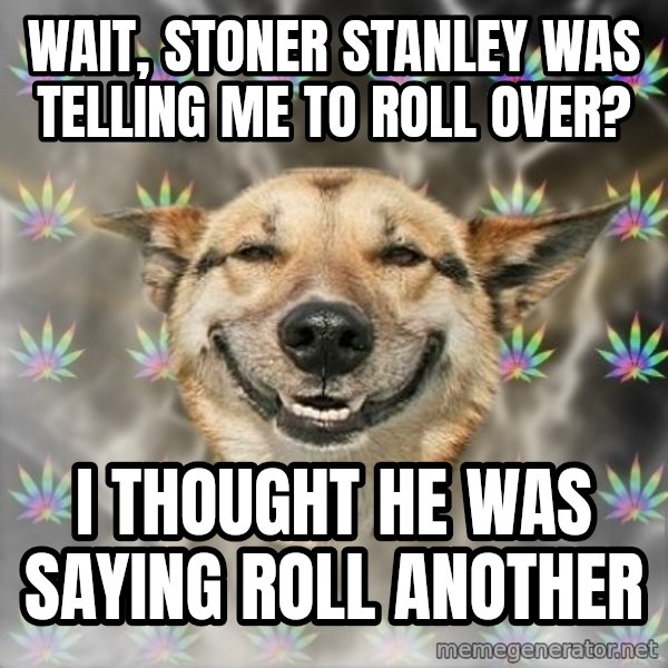 Stoner Dog meme: Wait, Stoner Stanley was telling me to roll over? / I thought he was saying roll another