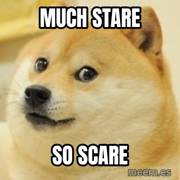 Real Doge meme: Much stare / so scare