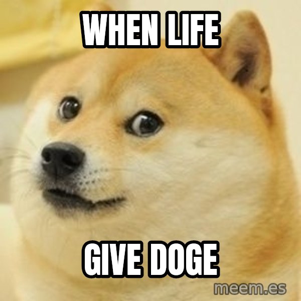 Real Doge meme: When life / Give doge