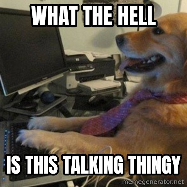 I have no idea what I'm doing - Dog with Tie meme: what the hell / is this talking thingy