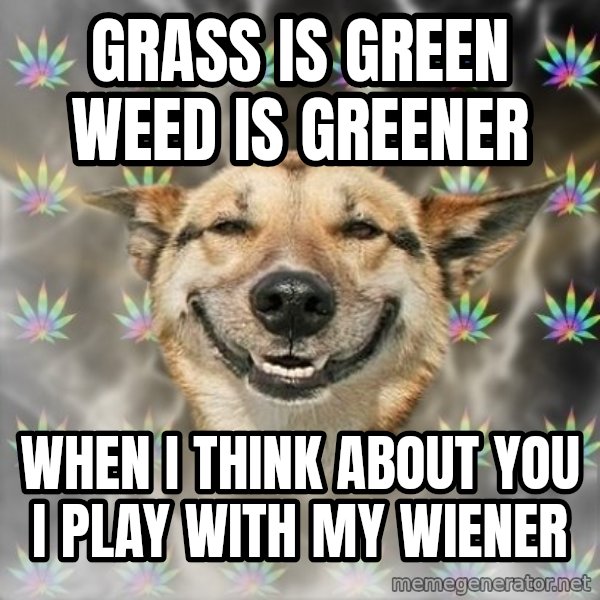Stoner Dog meme: grass is green weed is greener / when i think about you i play with my wiener