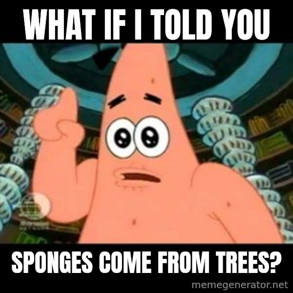 ugly barnacle patrick meme: What if I told you / sponges come from trees?