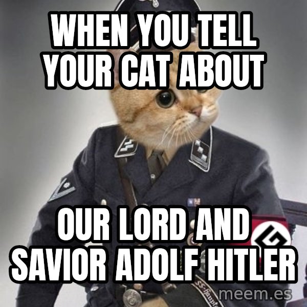 Nazi Cat meme: when you tell your cat about / our lord and savior adolf hitler