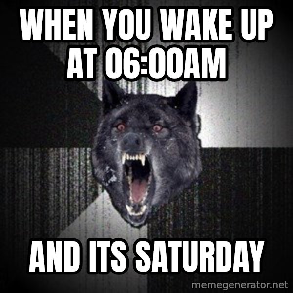 Insanity Wolf meme: when you wake up at 06:00am / and its saturday