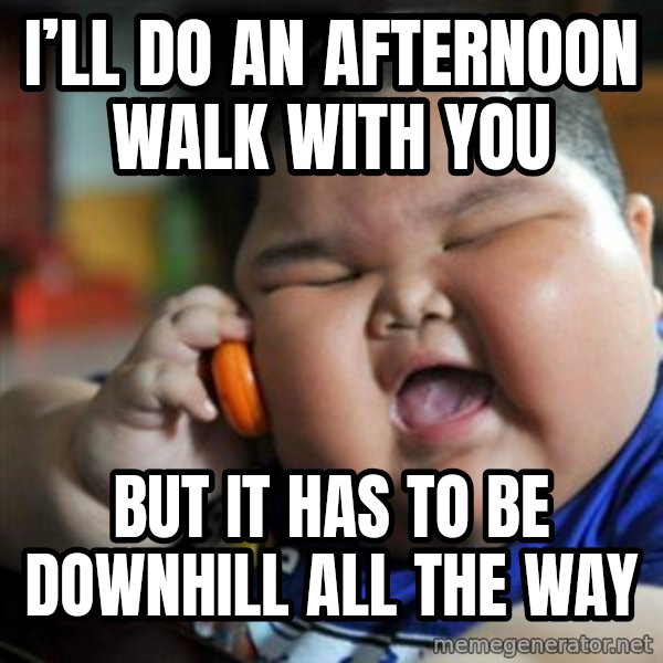 fat chinese kid meme: I’ll do an afternoon walk with you / But it has to be downhill all the way