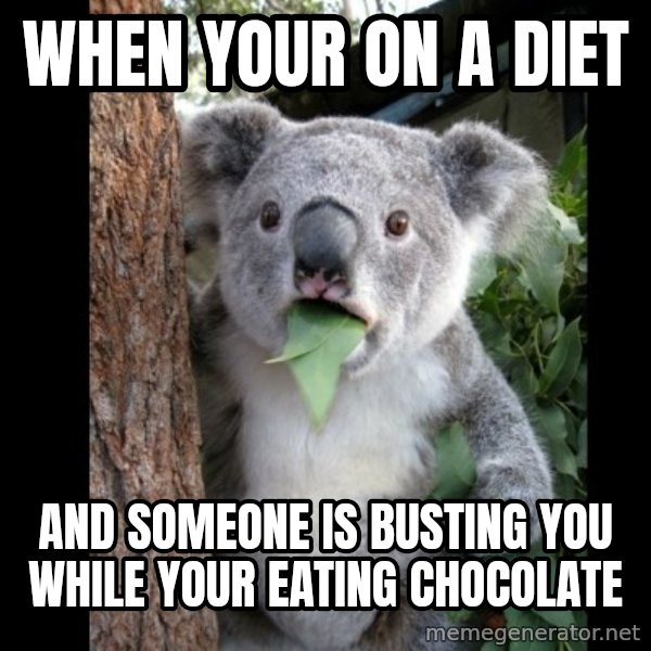 Koala can't believe it meme: when your on a diet / and someone is busting you while your eating chocolate