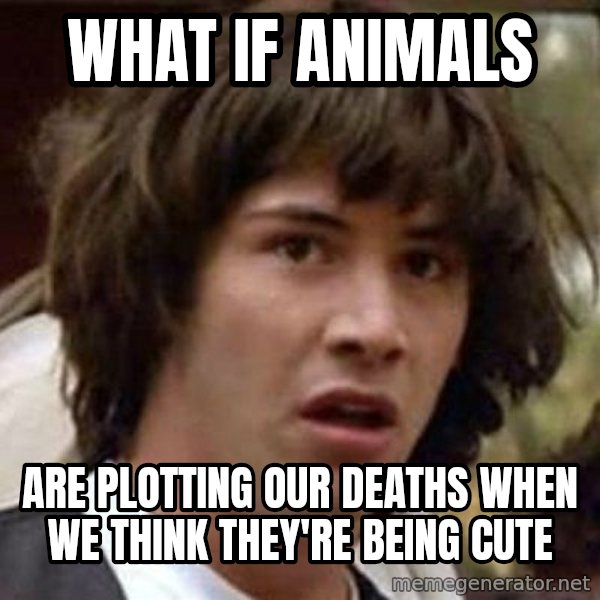 Conspiracy Keanu meme: what if animals / are plotting our deaths when we think they're being cute