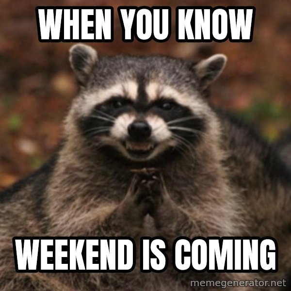 evil raccoon meme: When you know / weekend is coming