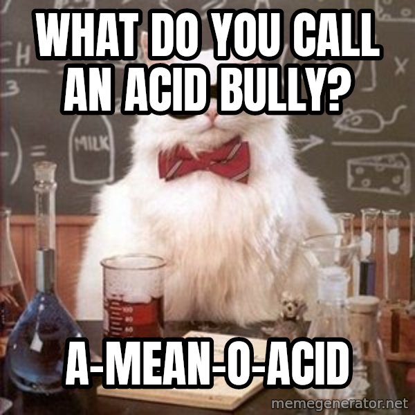 Chemistry Cat meme: what do you call an acid bully? / a-mean-o-acid