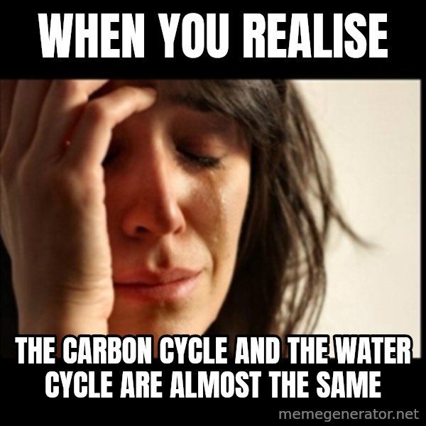 First World Problems meme: When you realise / The carbon cycle and the water cycle are almost the same