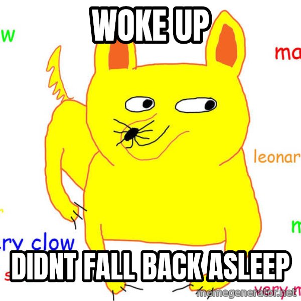Grumpy Cat  meme: woke up / didnt fall back asleep