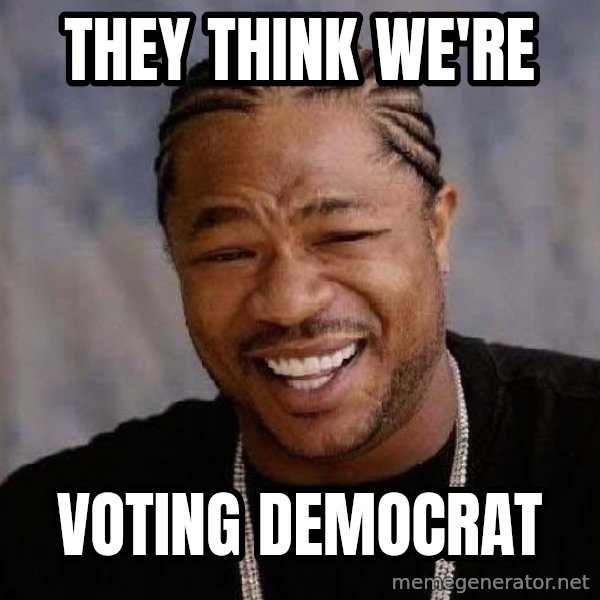 Yo Dawg meme: they think we're / voting democrat