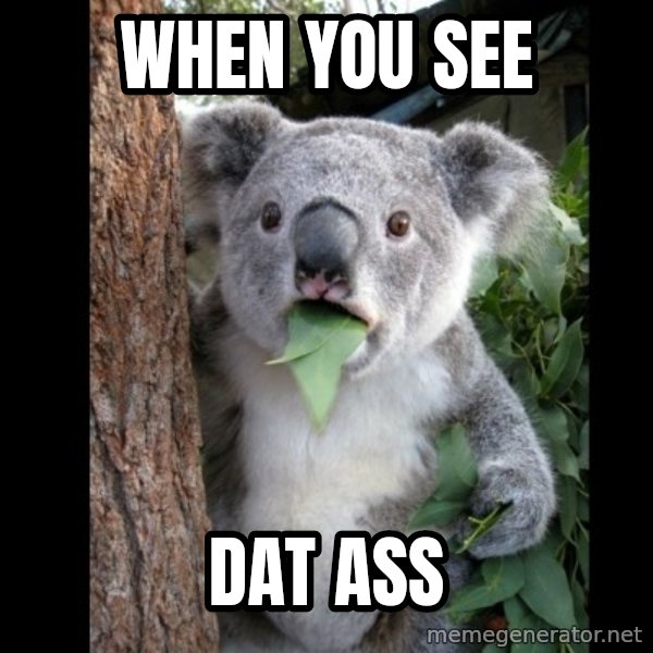 Koala can't believe it meme: WHEN YOU SEE / DAT ASS