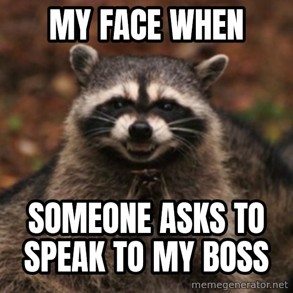 evil raccoon meme: My face when / someone asks to speak to my boss