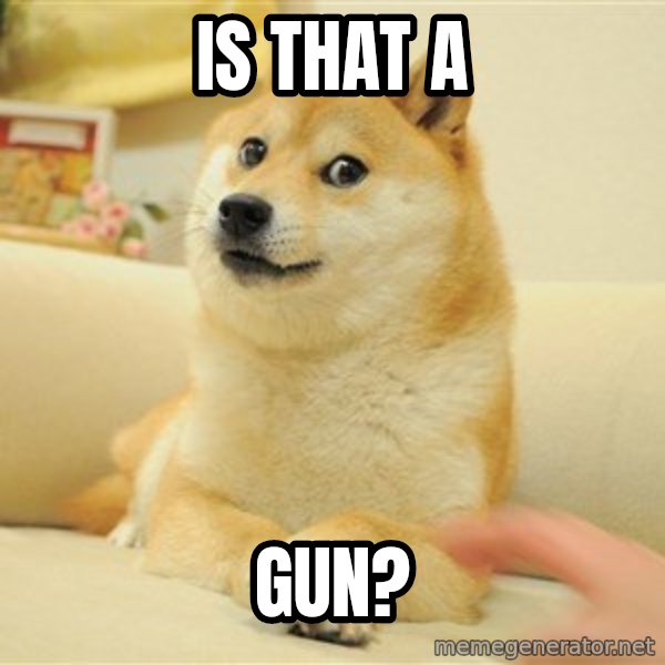 so doge meme: Is that a / GUN?