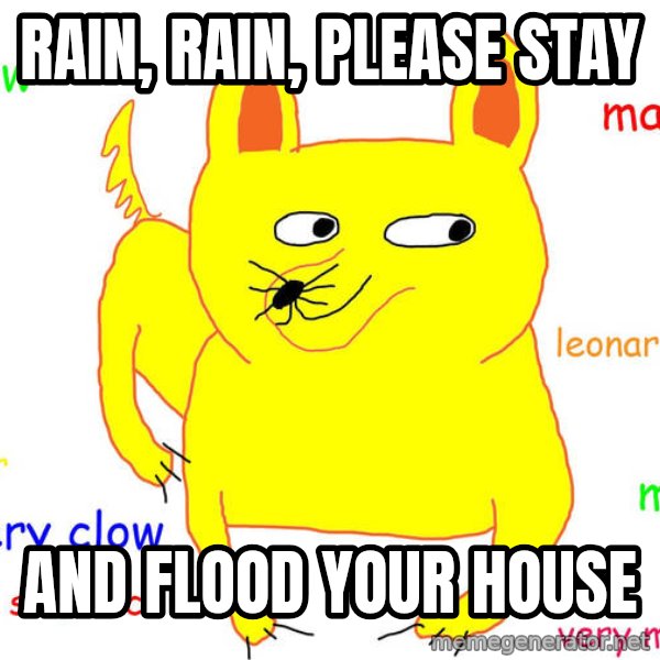 Grumpy Cat  meme: rain, rain, please stay / and flood your house