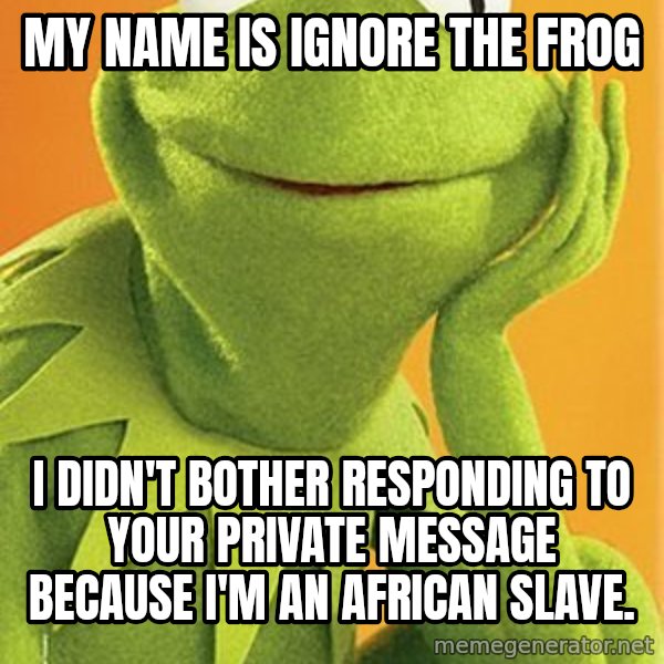 Kermit the frog meme: My name is Ignore the Frog / I didn't bother responding to your private message because                                             I'm an African slave.