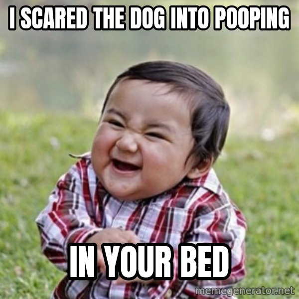 evil toddler kid2 meme: i scared the dog into pooping / In your bed