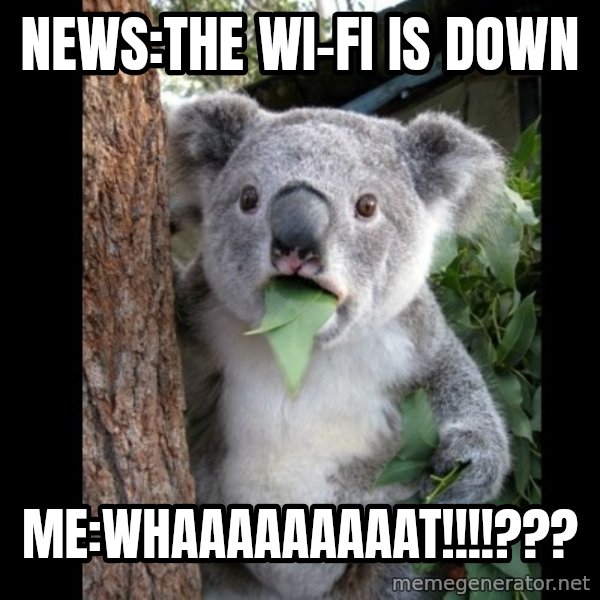 Koala can't believe it meme: news:The Wi-Fi is down / Me:whaaaaaaaaat!!!!???