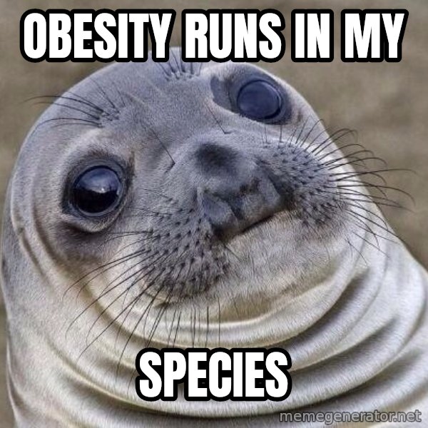 Awkward Seal meme: obesity runs in my / species