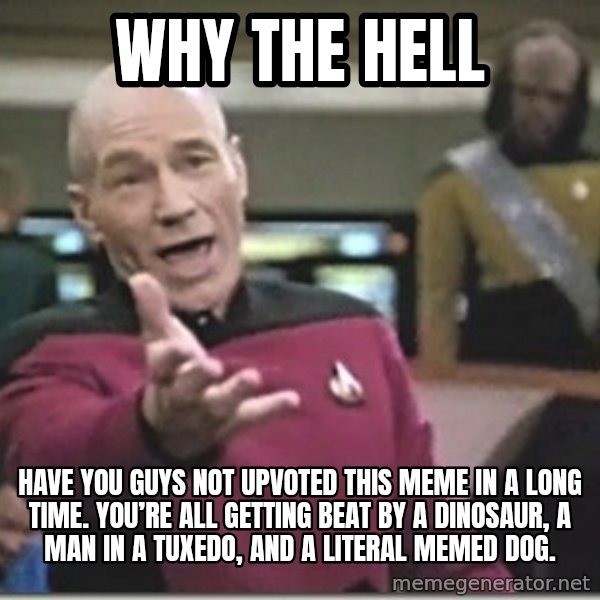 star trek wtf meme: Why the hell / Have you guys not upvoted this meme in a long time. You’re all getting beat by a dinosaur, a man in a tuxedo, and a literal memed dog.