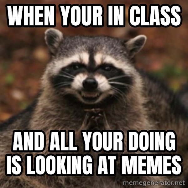 evil raccoon meme: When your in class / and all your doing is looking at memes