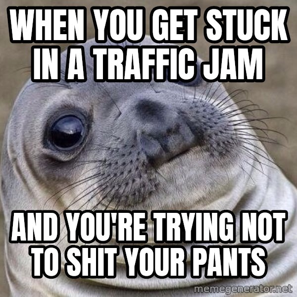 Awkward Seal meme: When you get stuck in a traffic jam / and you're trying not to shit your pants