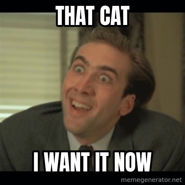 Nick Cage meme: That cat / I want it now