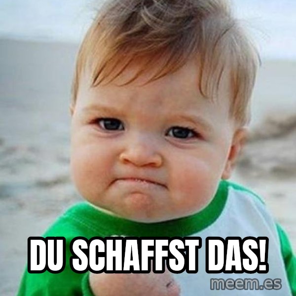 victory kid meme: DU SCHAFFST DAS!